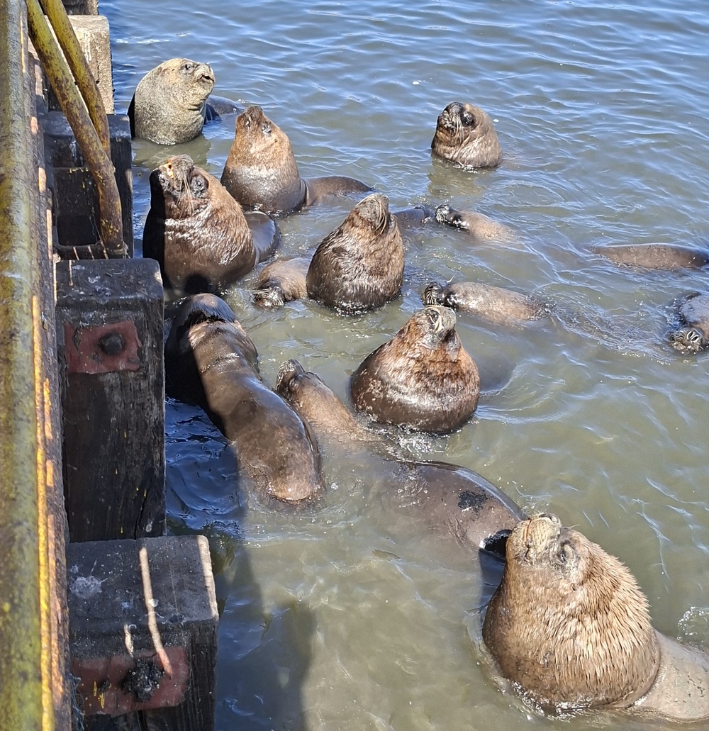2026-03-21 Iquique 20260321_111404_ji.jpg